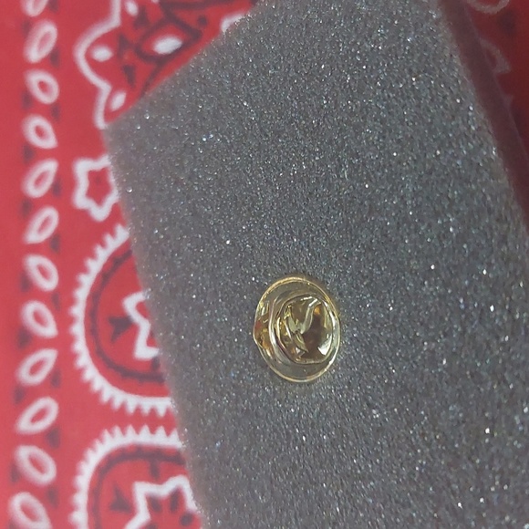 Lady Bug pin - Picture 3 of 3